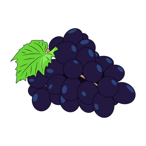 Vector Grape Isolated White Background — Stock Vector