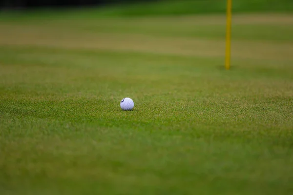 A jogar golfe. Campo de golfe — Fotografia de Stock