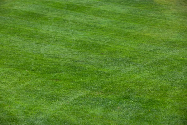 Golf oynuyordum. Golf sahası