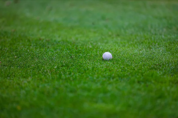 A jogar golfe. Campo de golfe — Fotografia de Stock