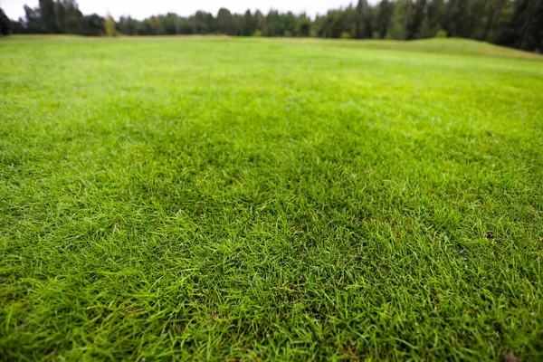 Golf oynuyordum. Golf sahası