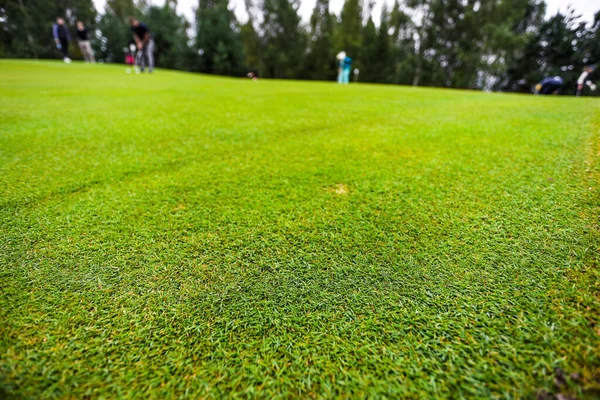 Giocare a golf. Campo da golf — Foto Stock