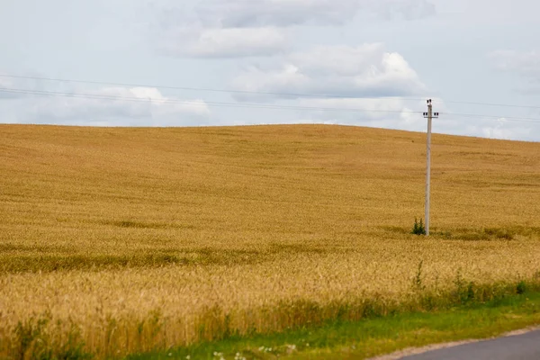 Panorama fundo campo e centeio e colina — Fotografia de Stock