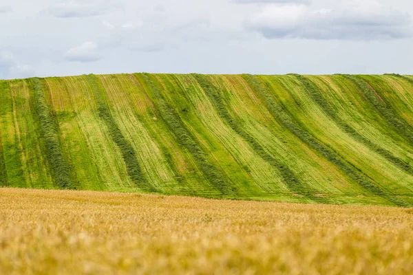 Panorama fundo campo e centeio e colina — Fotografia de Stock