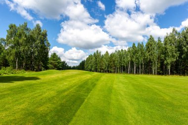 Yaz manzarası golf sahası manzarası ve arka plan