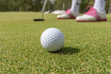 Golfçü golf sahasında yeşile vurmaya hazırlanıyor..