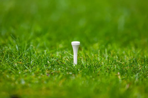 O suporte para a bola de golfe na grama — Fotografia de Stock