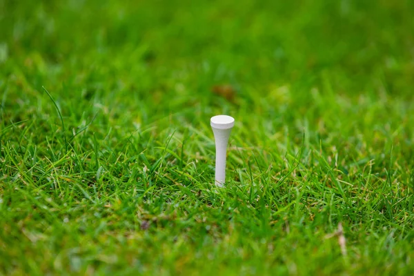 El Stand para la pelota de golf en la hierba —  Fotos de Stock