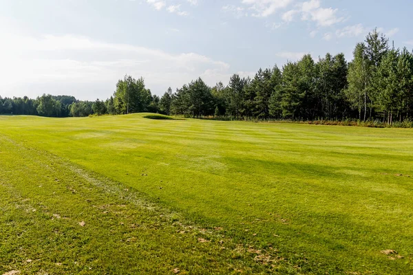Панорама поля для гольфа и фон — стоковое фото