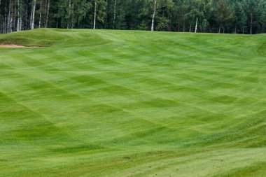 Yaz manzarası golf sahası manzarası ve arka plan