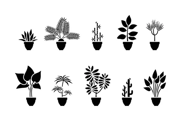 Набір Значків Домашніх Квітів Чорна Піктограма Рослини Горщику — стоковий вектор