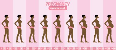 Hafta hafta gebelik aşamaları olan pantolon hamile siyah kadın tarafından. Tüm nesneleri ve vücut aşamalarında farklı katmanlarda ve metin türlerinin herhangi bir yazı tipi yeterli değil. 