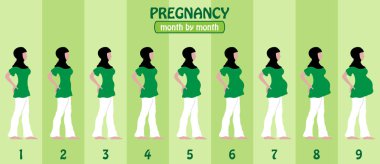 Ay ay gebelik aşamaları olan hijap hamile Müslüman kadın tarafından. Tüm nesneleri ve vücut aşamalarında farklı katmanlarda ve metin türlerinin herhangi bir yazı tipi yeterli değil. 