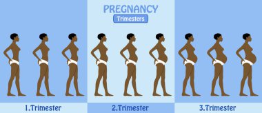 Gebelik Trimesters pantolon ile Afrika hamile kadının. Tüm nesneleri ve vücut aşamalarında farklı katmanlarda ve metin türlerinin herhangi bir yazı tipi yeterli değil. 
