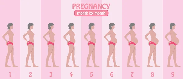 Stades Grossesse Mois Par Mois Femme Enceinte Avec Pantalon Tous — Image vectorielle