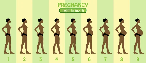 Stades Grossesse Mois Par Mois Femme Enceinte Afro Américaine Avec — Image vectorielle