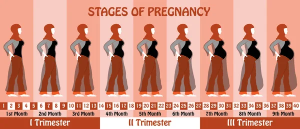 Беременность беременной мусульманки с хиджабом и транспа — стоковый вектор