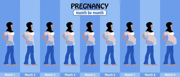 9 mois de grossesse chez la femme musulmane enceinte avec hijab — Image vectorielle