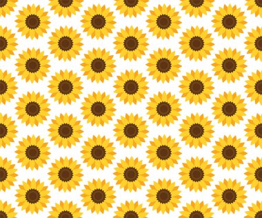 Vektör seamless ayçiçeği modeli. Çiçek desenli.