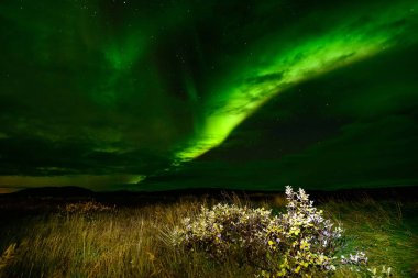 İzlanda gökyüzü üzerinde şaşırtıcı Kuzey ışıkları. Aurora Borealis parlak dans ışıkları. Güzel nightscape yeşil ışık.