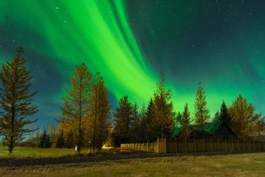 İzlanda'daki çiftçi üzerinde Kuzey ışıkları. Aurora Borealis şaşırtıcı bir nightscape içinde. Güzel yeşil ışıklar manzara ile seyahat hedef.