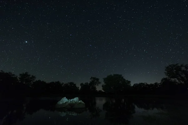 Fotografía Nocturna Área Natural Aceituna Extremadura España — Foto de Stock