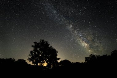 Santibanez el Bajo yakınındaki ormanlar üzerinde Samanyolu. Extremadura. İspanya.