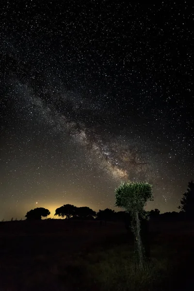 Vintergatan Över Skogarna Nära Santibanez Bajo Extremadura Spanien — Stockfoto
