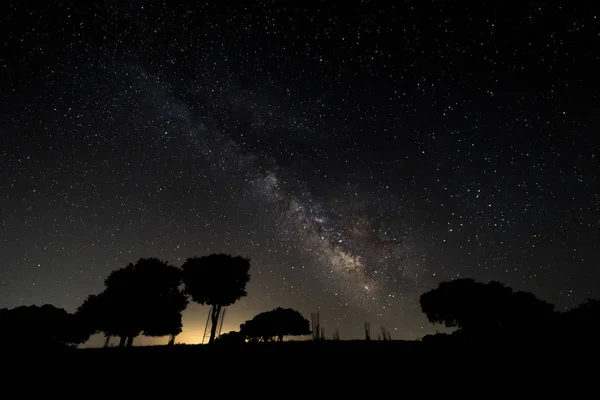 Voie Lactée Dessus Des Forêts Près Santibanez Bajo Estrémadure Espagne — Photo