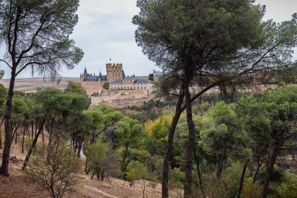 Landscape Pine Forest Alcazar Segovia Background Spain — Stock Photo, Image