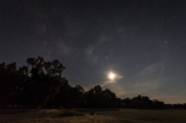 Ay Valdesalor yakınındaki bir orman içinde gece yatay. Extremadura. İspanya.
