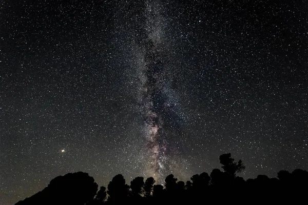 Lactea Sobre Bosque Pinos Granadilla España —  Fotos de Stock