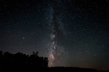 Bir çam ormanı üzerinden Lactea. Granadilla. Extremadura. İspanya.
