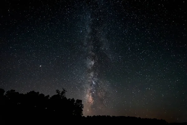 Lactea Över Pinjeskog Granadilla Extremadura Spanien — Stockfoto