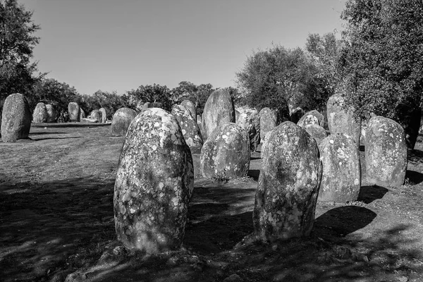 Almendres Cromlech Megalithische Steinkreise Der Nähe Von Evora Portugal Chronologie — Stockfoto