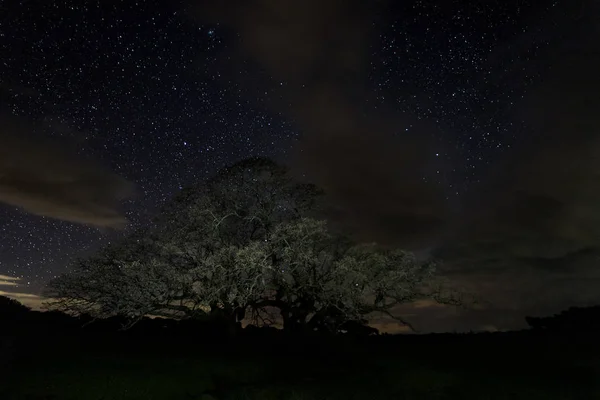 Fotografía Nocturna Cerca Santibanez Bajo Extremadura España — Foto de Stock