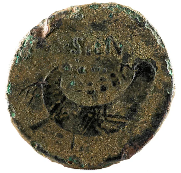 Αρχαίου Ιβηρικού Χάλκινο Νόμισμα Κόπηκε Tamusiens Αντίστροφη — Φωτογραφία Αρχείου