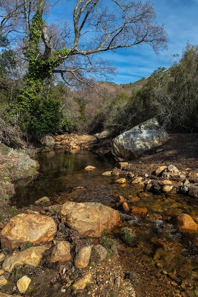 Ruecas Řeka Krajina Přírodním Parku Las Villuercas Canamero Extremadura Španělsko — Stock fotografie