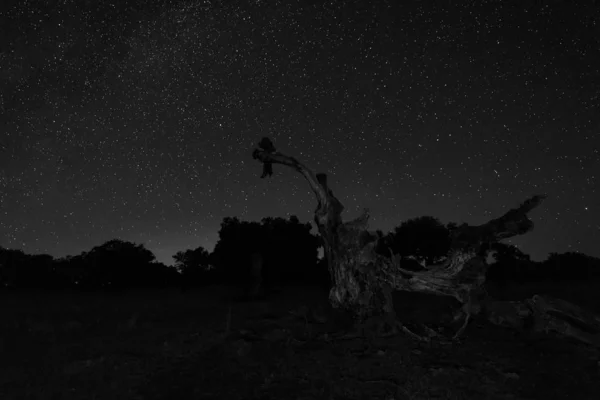 Paisaje nocturno — Foto de Stock