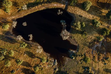 Dehesa de la Luz 'daki manzara. Arroyo de la Luz. Extremadura. İspanya.