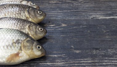 Taze sazan ahşap masanın üzerine caught  