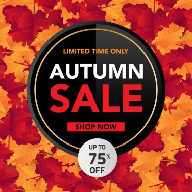 Sonbahar satış banner şablon yapraklarla, sonbahar yaprakları Satılık alışveriş için. Banner tasarımı. Poster, kart, etiket, web afiş. Vektör çizim