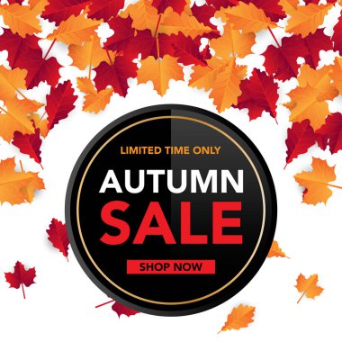 Sonbahar satış banner şablon yapraklarla, sonbahar yaprakları Satılık alışveriş için. Banner tasarımı. Poster, kart, etiket, web afiş. Vektör çizim