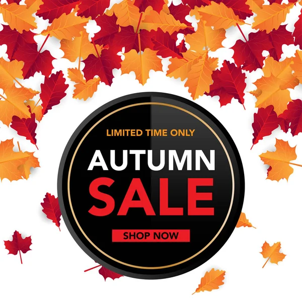 Sonbahar satış banner şablon yapraklarla, sonbahar yaprakları Satılık alışveriş için. Banner tasarımı. Poster, kart, etiket, web afiş. Vektör çizim