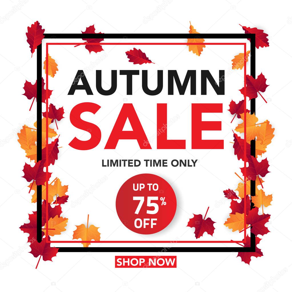 Autumn sale banner template with leaves, fall leaves for shopping sale. banner design. Poster, card, label, web banner. Vector illustration