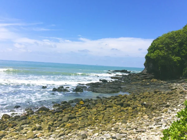 海滩上布满了岩石 白色的波浪泡进岸边 满是树 蓝天明亮 — 图库照片