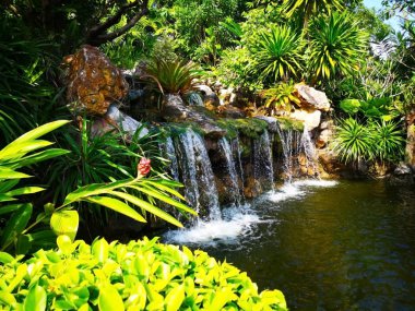 Birçok büyük buzlu ekilir çalılar çeşitli çevrili küçük şelale. Ve alt balıklar için bir su birikintisi. Bu genel parkta inşa edilmiştir. Seçici odak ve kopya alanı.