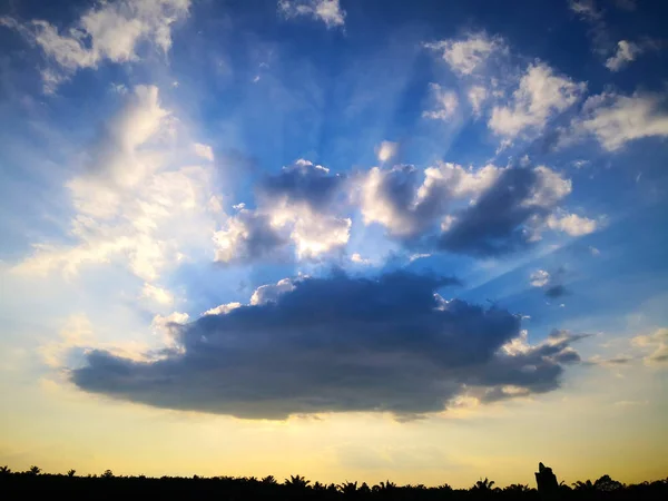 美丽的晚上影像 太阳的光芒穿透了油棕种植园上空的乌云 — 图库照片