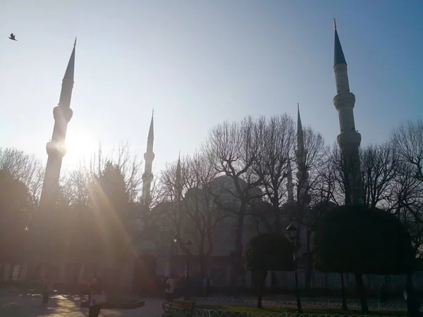 Parc Central Istanbul Turquie Mars 2018 Passerelle Dans Parc Public — Photo