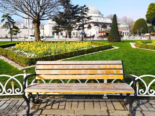 Parc Central Istanbul Turquie Mars 2018 Chaise Bois Est Placée — Photo